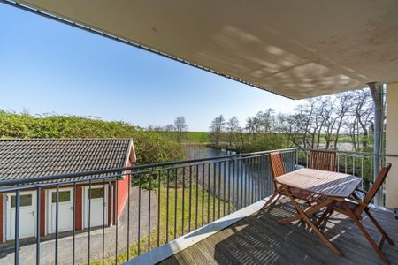 NordseeResort Friesland NordseeResort Friesland 52-1-N Schillig - 