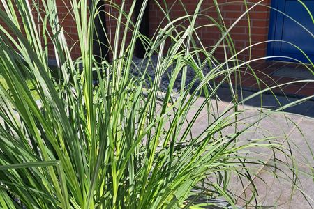 7003 - Meer Auszeit Dahme -