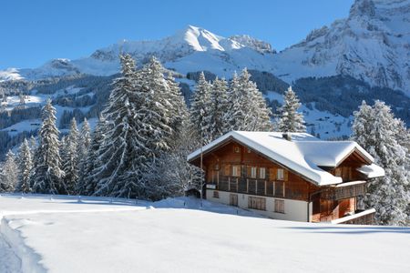 Chalet Meiseli 