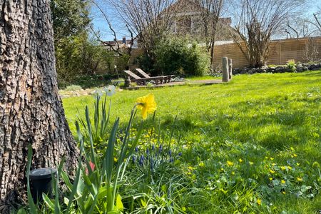  1100 - Anno 1840 Dahme - 