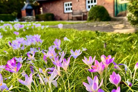  1100 - Anno 1840 Dahme - 