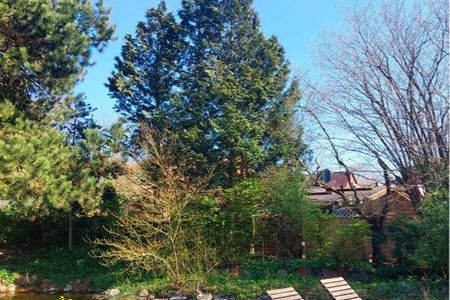  1100 - Anno 1840 Dahme - 