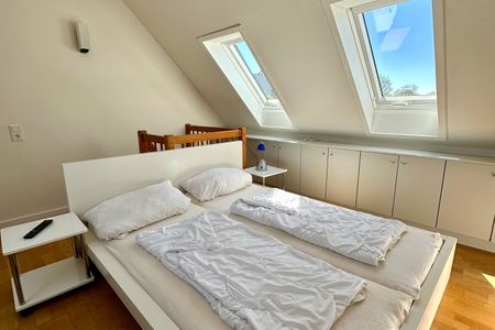 7034  Strandläufer  Enseling Dahme -