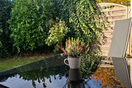 Strandkoje Dahme 7013 Dahme -