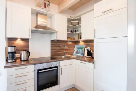  9150 Seehund 1 Süssau Süssau - 