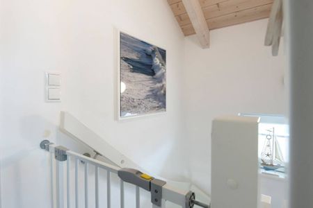  9150 Seehund 1 Süssau Süssau - 