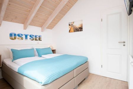  9150 Seehund 1 Süssau Süssau - 