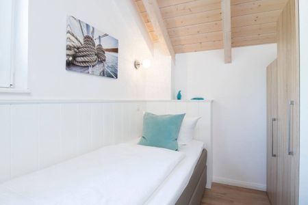  9150 Seehund 1 Süssau Süssau - 