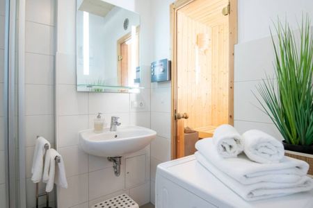  9150 Seehund 1 Süssau Süssau - 