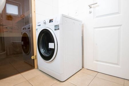  9150 Seehund 1 Süssau Süssau - 