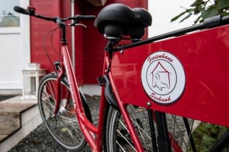  9150 Seehund 1 Süssau Süssau - 