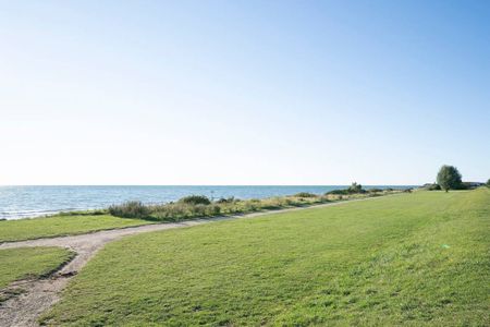  9150 Seehund 1 Süssau Süssau - 