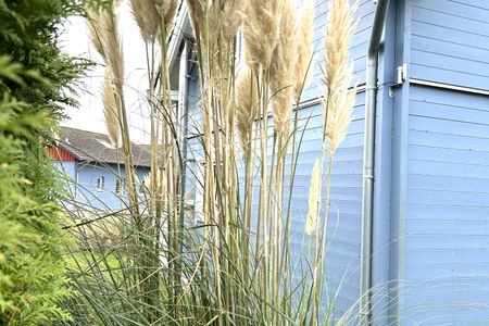  9160 Seerose 9 Süssau Süssau - 