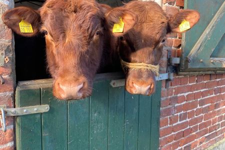 Appartement Nr.3 - Seestern - Haus Ebenezer Büsum