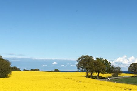 Appartement Nr.2 - Strandmuschel - Haus Ebenezer Büsum