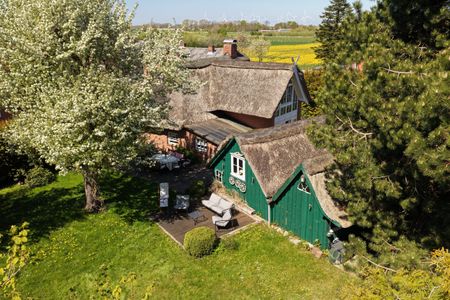  1100 - Reetdach im Achterland Dahme - 