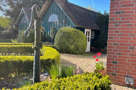  1100 - Reetdach im Achterland Dahme - 