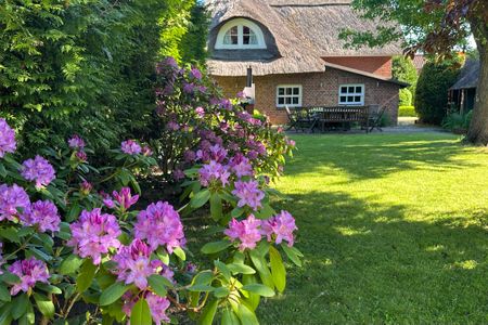  1100 - Reetdach im Achterland Dahme - 