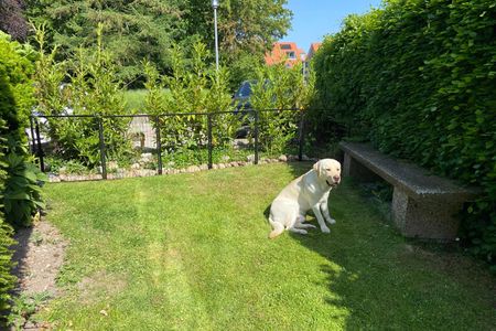  Erde - 8001 - Sol y Mar Dahme - 