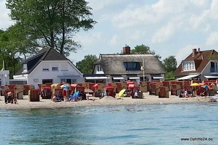  5071 - Leevnüst Dahme - 