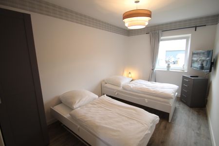 2204 - Knerten Dahme -