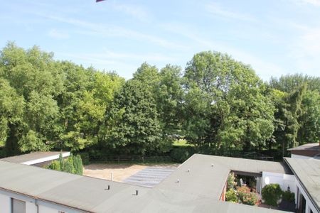  5092 - Blaubär Dahme - 