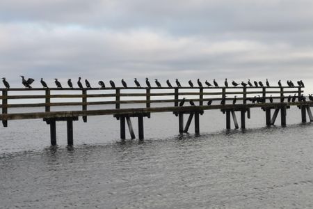 7017 - Wohnung "Küstenperle" Dahme -