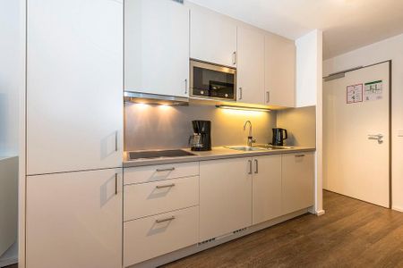 Apartmentvilla Anna See Apartmentvilla Anna See 1-01 Langeoog - Küchenzeile mit Mikrowelle