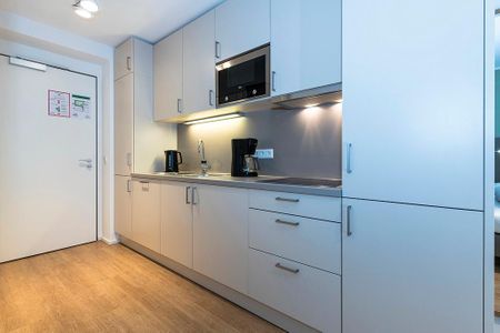 Apartmentvilla Anna See Apartmentvilla Anna See 1-04 Langeoog - Küchenzeile mit Mikrowelle
