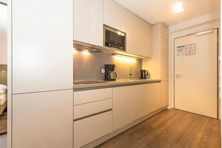 Apartmentvilla Anna See Apartmentvilla Anna See 1-05 Langeoog - Küchenzeile mit Mikrowelle
