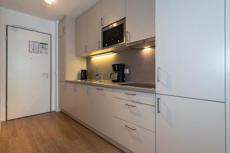 Apartmentvilla Anna See Apartmentvilla Anna See 1-18 Langeoog - Küchenzeile mit Mikrowelle