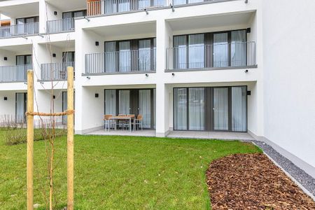 Deichhäuser Anna Küste Deichhäuser Anna Küste 1-13 Bensersiel - Terrasse mit Garten und Sitzgelegenheiten