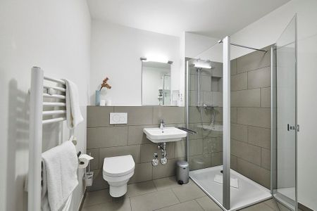 Deichhäuser Anna Küste Deichhäuser Anna Küste 3-14 Bensersiel - Badezimmer mit Dusche, WC, Waschtisch und Spiegel