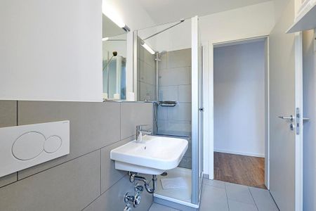 Deichhäuser Anna Küste Deichhäuser Anna Küste 4-10 Bensersiel - Badezimmer mit Dusche, WC, Waschtisch und Spiegel