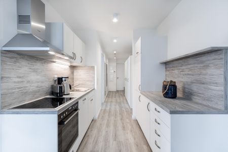 Apartmentanlage Meerblickvilla Apartmentanlage Meerblickvilla 1-04 Großenbrode - Offene Küche mit Geschirrspüler und Backofen - gbmv1-04 - Großenbrode