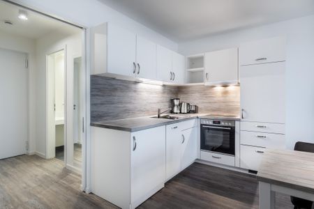 Apartmentanlage Meerblickvilla Apartmentanlage Meerblickvilla 2-24 Großenbrode - Offene Küche mit Geschirrspüler und Backofen