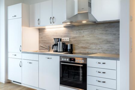 Apartmentanlage Meerblickvilla Apartmentanlage Meerblickvilla 2-22 Großenbrode - Küchenzeile mit Backofen und Geschirrspüler