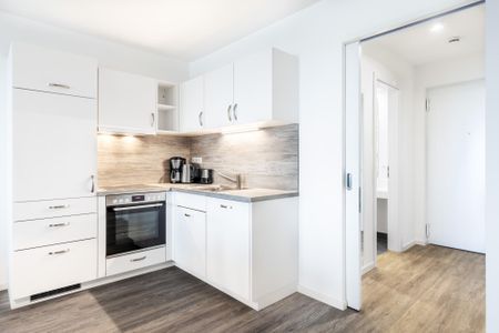 Apartmentanlage Meerblickvilla Apartmentanlage Meerblickvilla 2-25 Großenbrode - Küchenzeile mit Backofen und Geschirrspüler