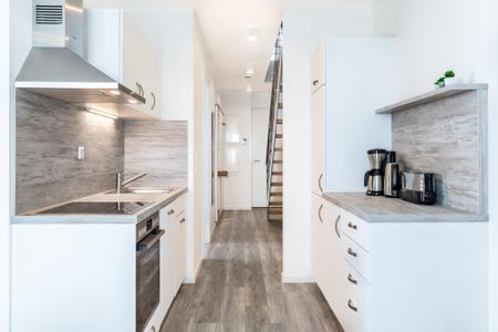 Apartmentanlage Meerblickvilla Apartmentanlage Meerblickvilla 3-32 Großenbrode - Küchenzeile mit Backofen und Geschirrspüler