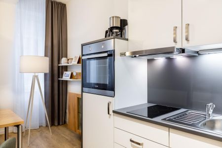 Ferienapartments am Krusespeicher Ferienapartments am Krusespeicher 1-07 Wismar - Küchenzeile mit Geschirrspüler