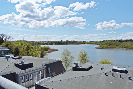 Seehof Seehof 41 Usedom - Nachbarschaft