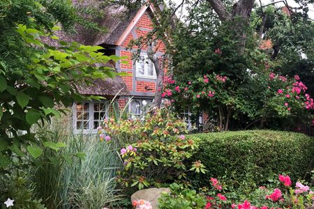  5100 - Dahmes alte Fischerkate Ferienhaus Dahme - 