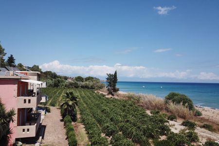 Memi View B1 