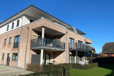 2204 - Knerten Dahme -