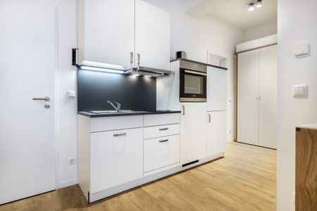 Ferienapartments am Krusespeicher Ferienapartments am Krusespeicher 1-05 Wismar - Küchenzeile mit Geschirrspüler