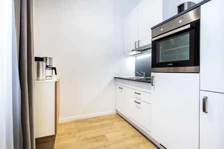 Ferienapartments am Krusespeicher Ferienapartments am Krusespeicher 0-01 Wismar - Küche mit Küchenzeile
