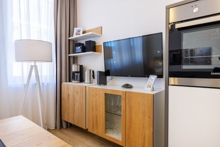 Ferienapartments am Krusespeicher Ferienapartments am Krusespeicher 3-27 Wismar - Küchenzeile mit Flatscreen