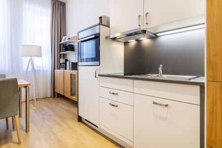 Ferienapartments am Krusespeicher Ferienapartments am Krusespeicher 3-27 Wismar - Küchenzeile mit Geschirrspüler