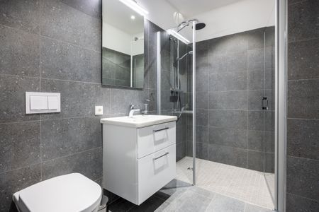 Krusespeicher Krusespeicher 3-47 Wismar - Badezimmer mit Dusche, Waschtisch, WC und Spiegel