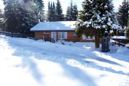 Ferienhaus Heide in Winterberg Niedersfeld - Winterberg